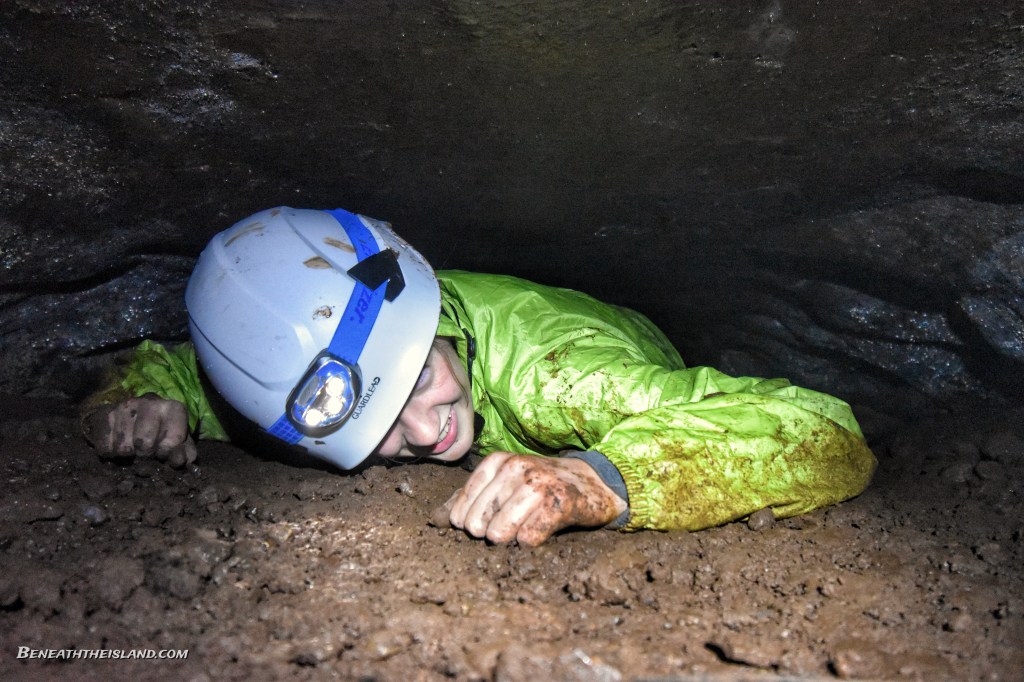 Back To New Brunswick